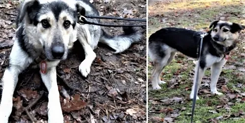 Claudia Berlin (Mex)(bearbeitet)