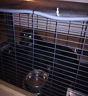 Fly in der Falle (bearbeitet)