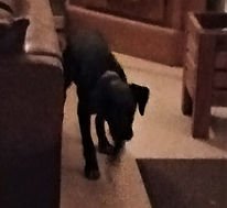 Fly wieder zuhause(bearbeitet)