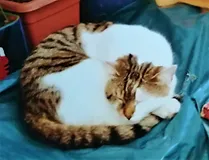 IMG_20190904_193621(bearbeitet)