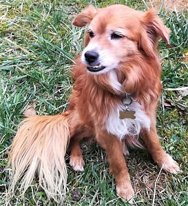 IMG_20200225_155919 (2)