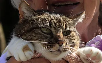 RÜHTER ECKHART (Schecki)2