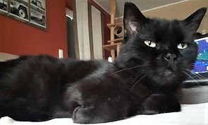 SchützeFred_(bearbeitet)