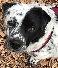 SimonNess (bearbeitert)2